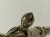 IMG_5487.jpeg